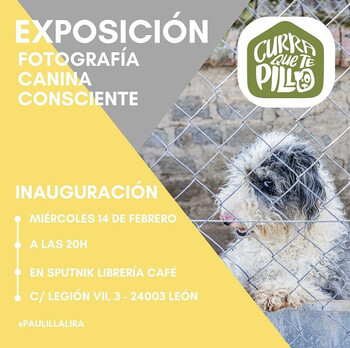 14.02.2024 Inauguración Exposición: Curra que te Pillo (fotografía)